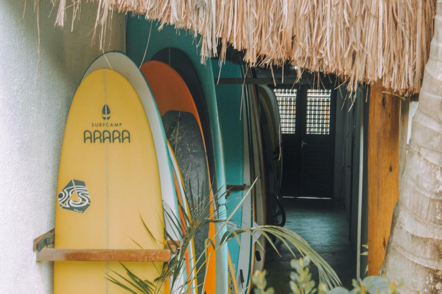 Surfcamp Arara