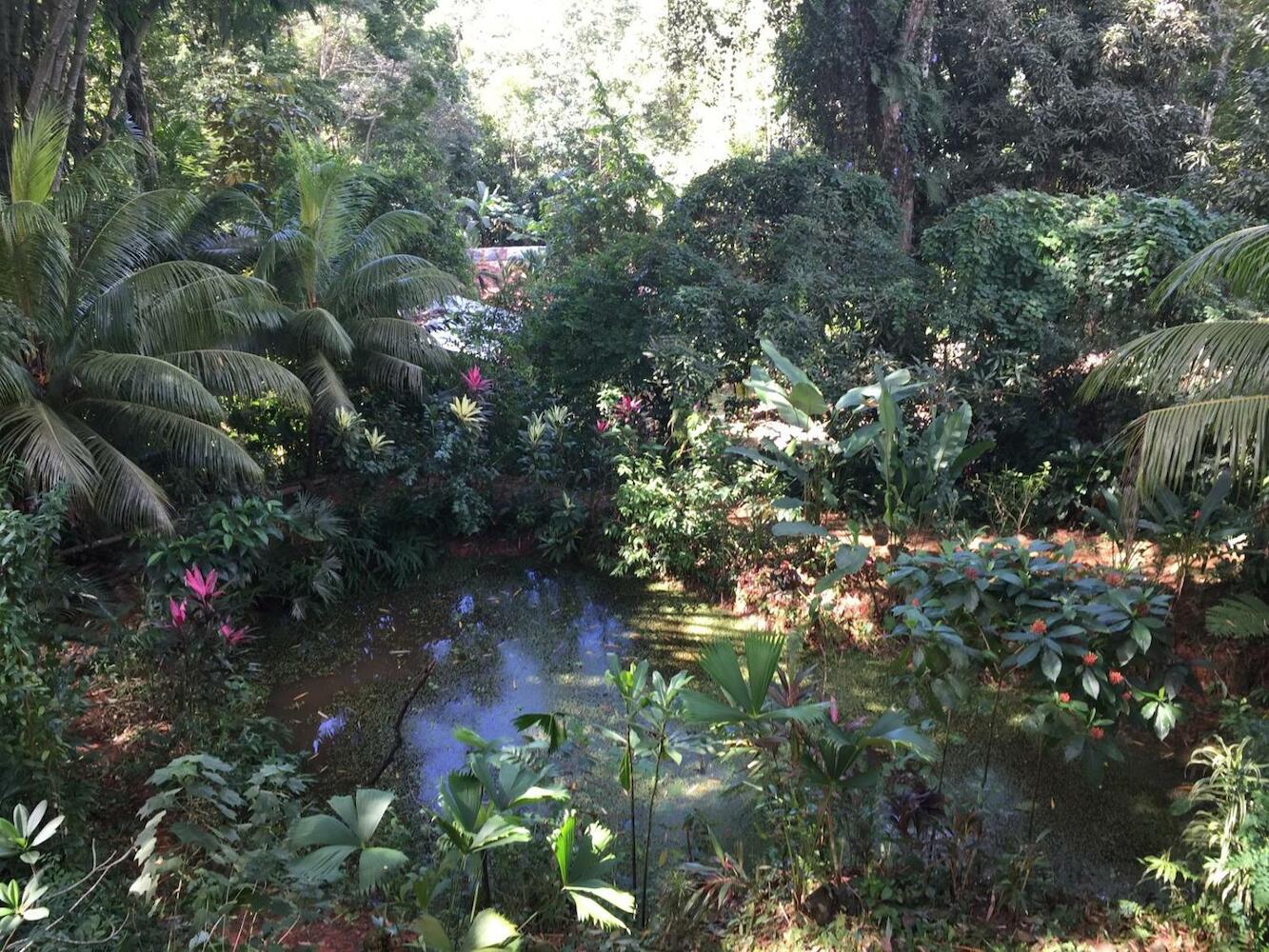 Cascada Verde