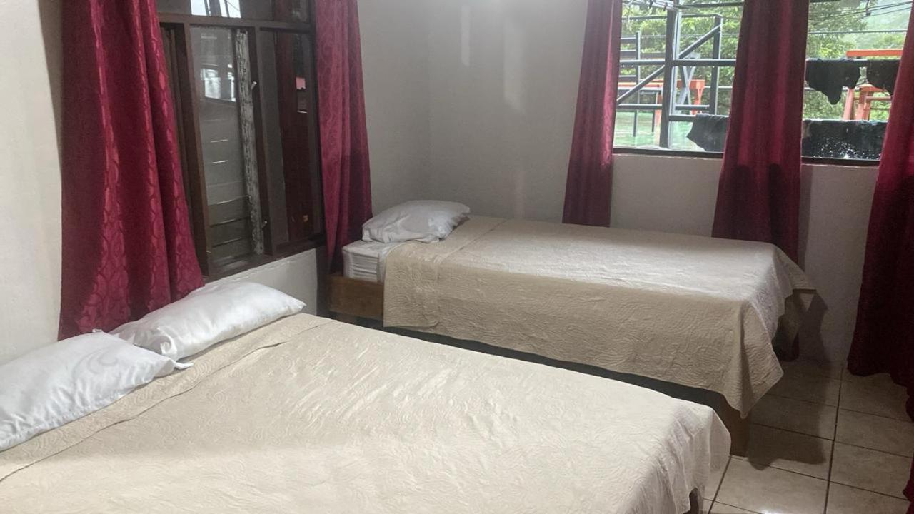 Monteverde Monkey Hostel, Monteverde