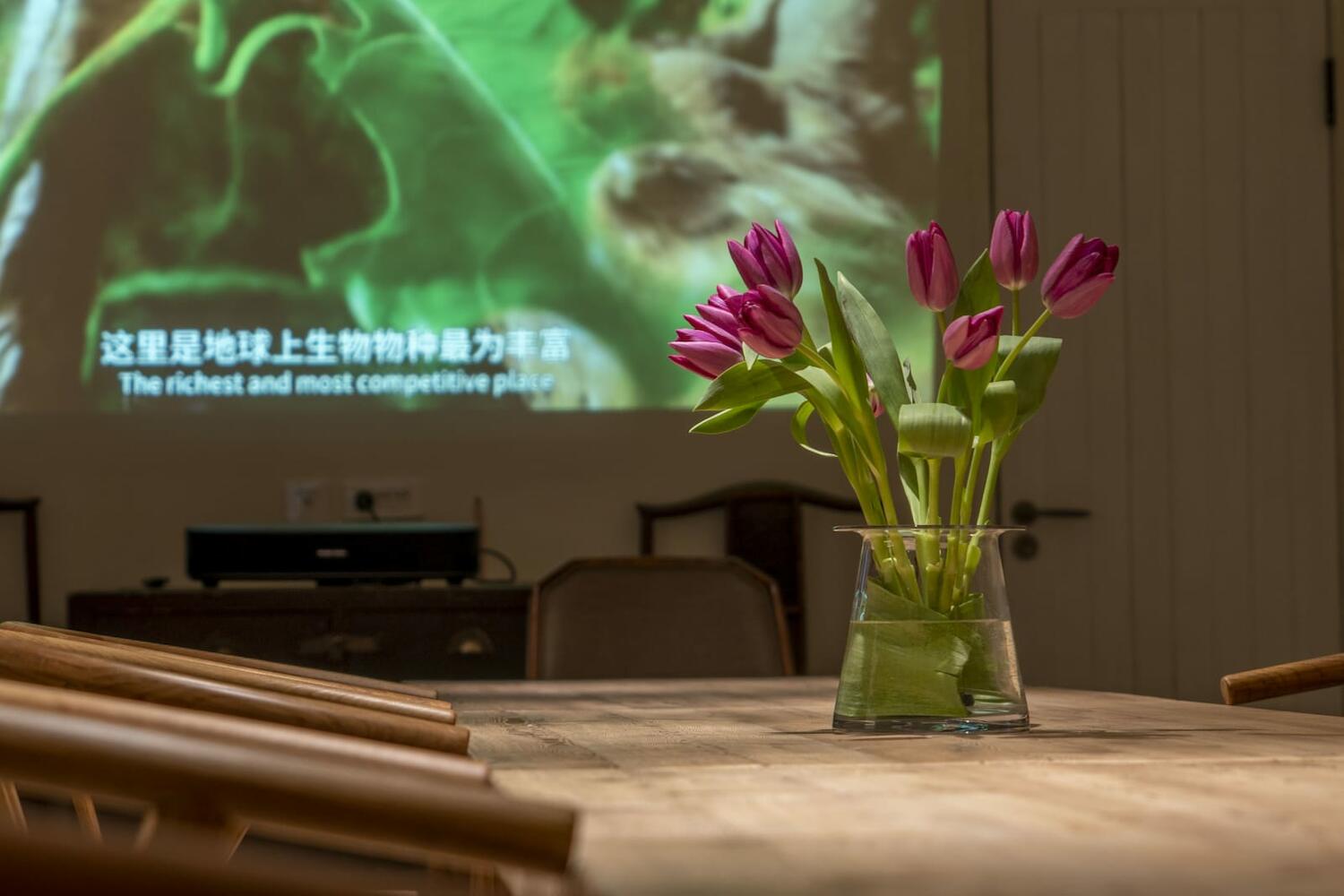 Hantang Inn Hostel, Xi'an