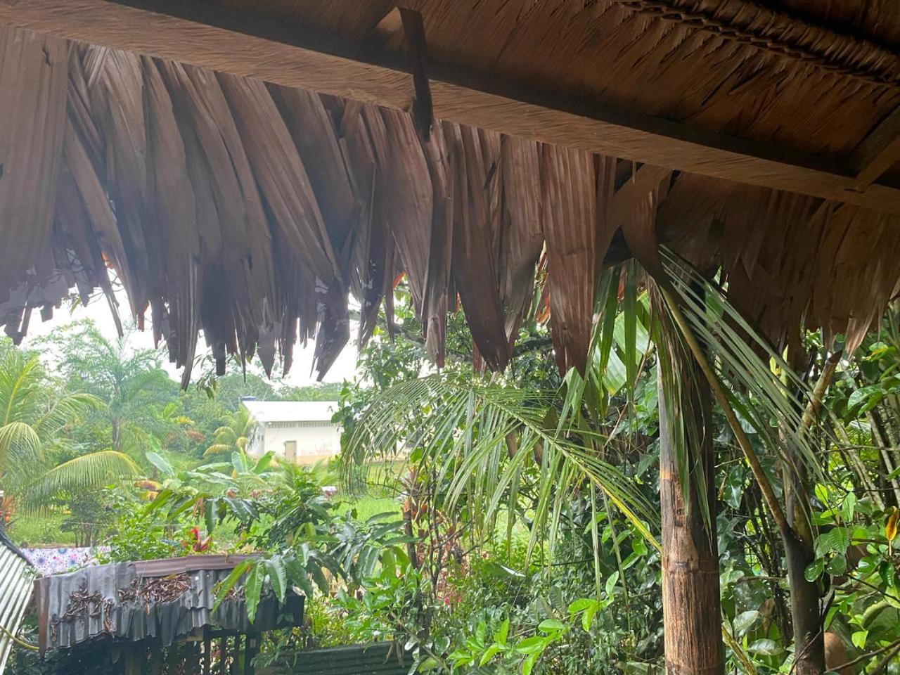 Casa do Xingu