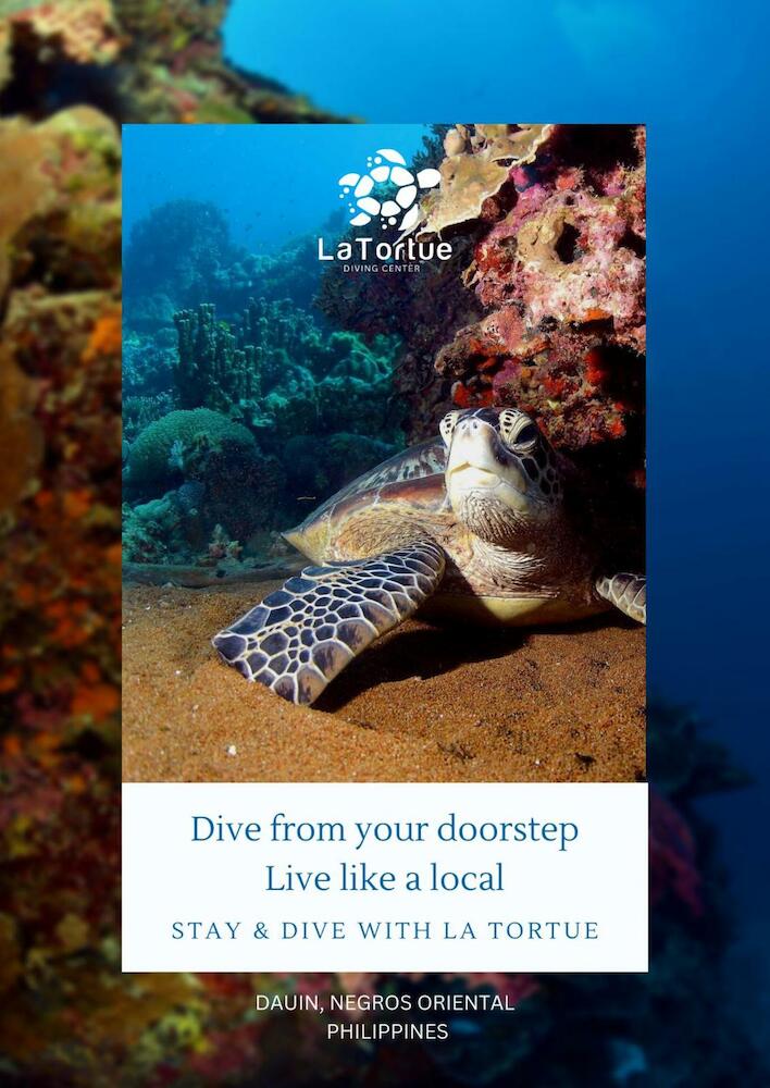 La Tortue Diving Resort