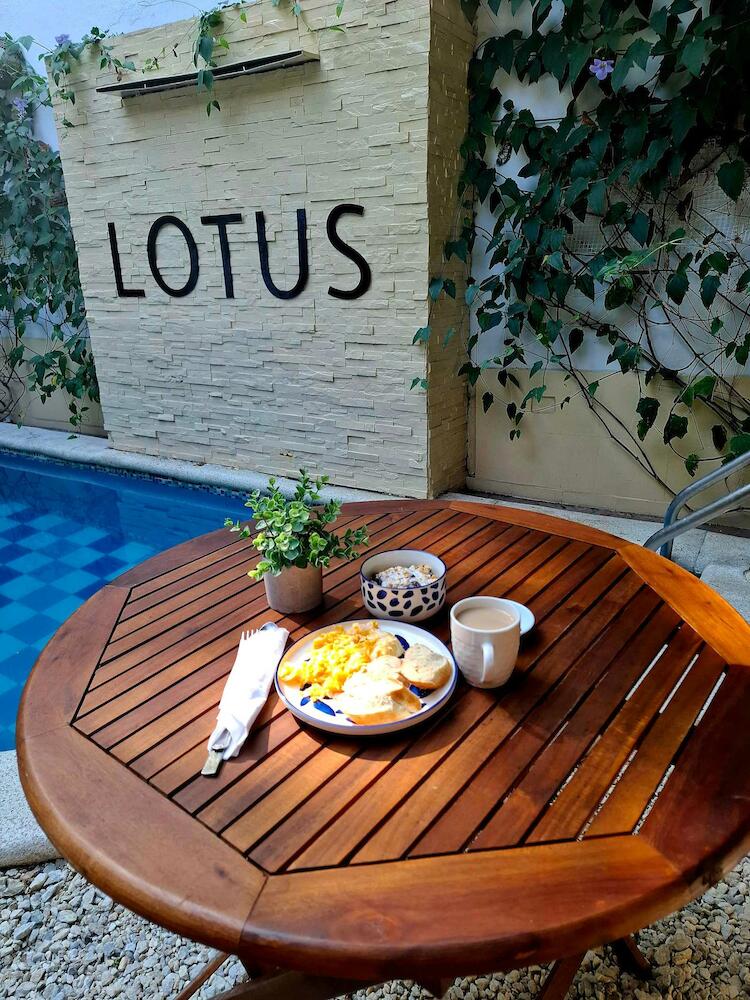 Lotus Central, Santa Marta