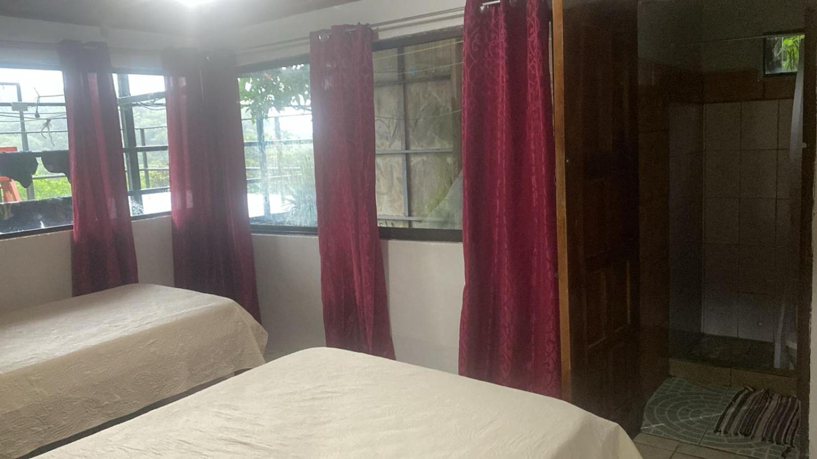 Monteverde Monkey Hostel, Monteverde