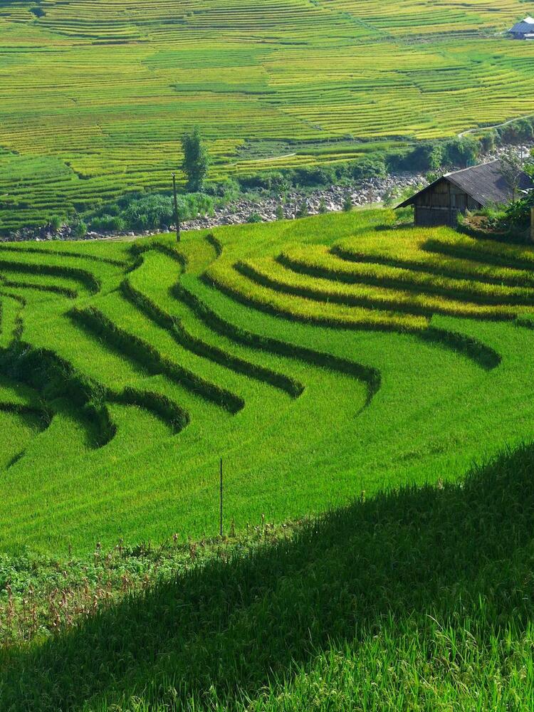 Hmong Sister House & Trekking