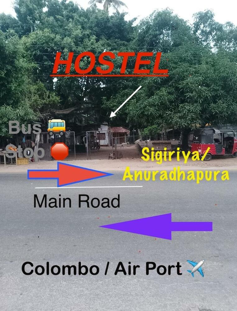 Where to stay in Negombo on a budget