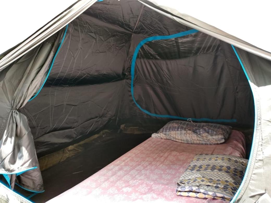 Hostel Santana