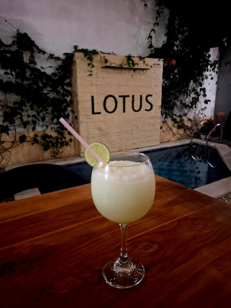 Lotus Central, Santa Marta