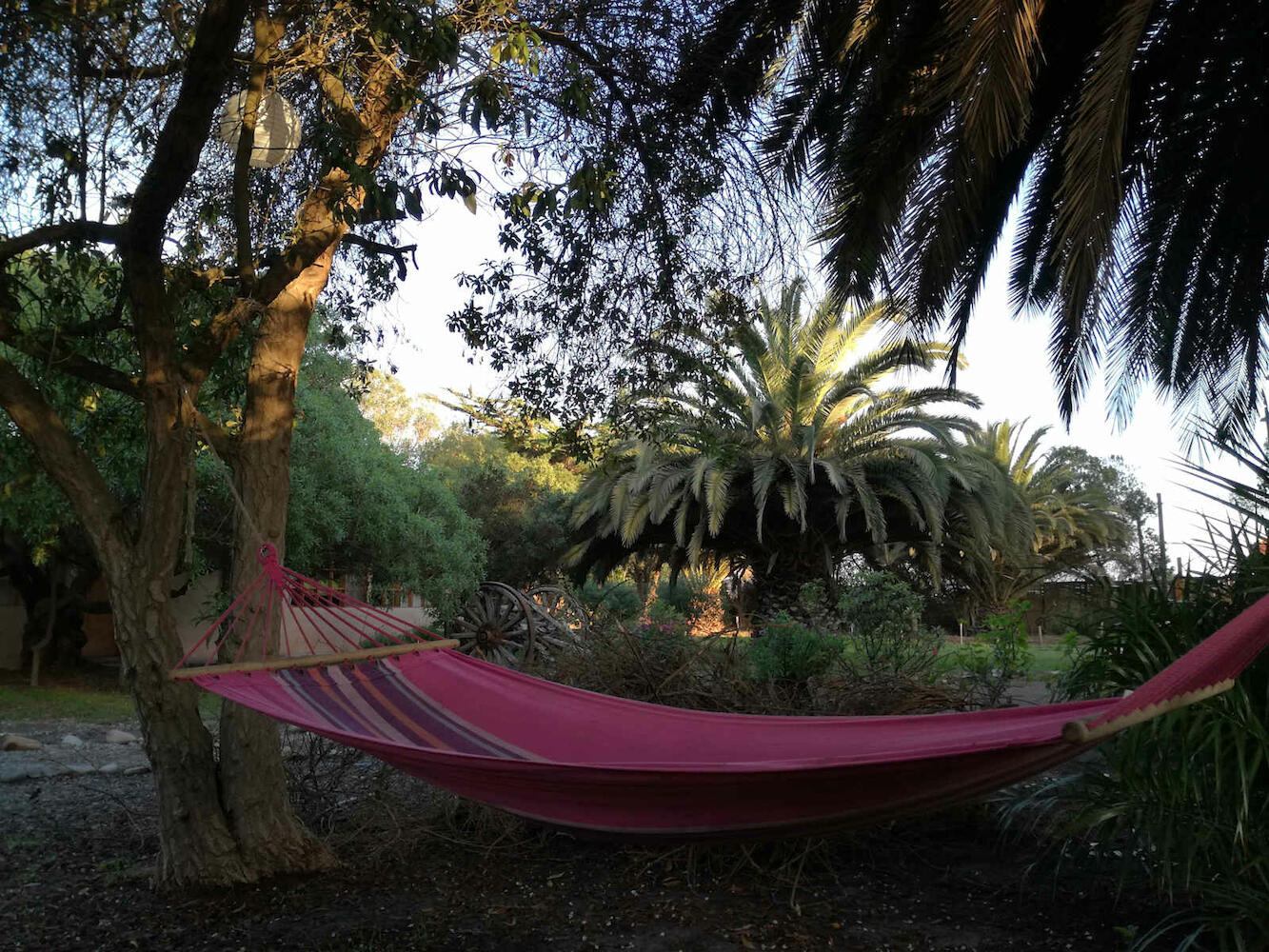 Eco lodge El Arbol, La Serena