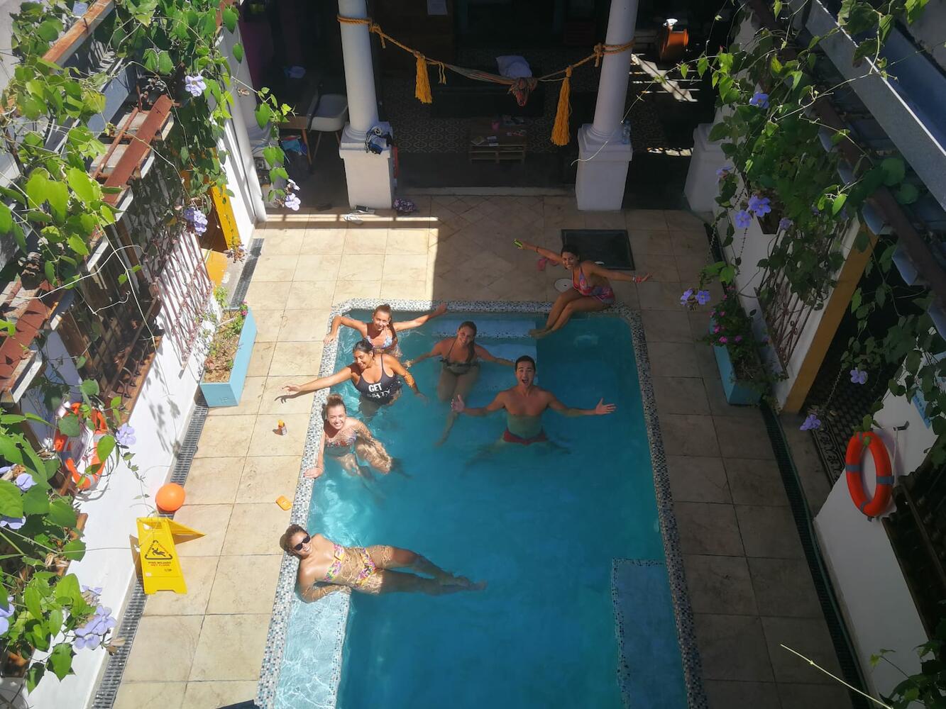 Mr. Baboon Hostel