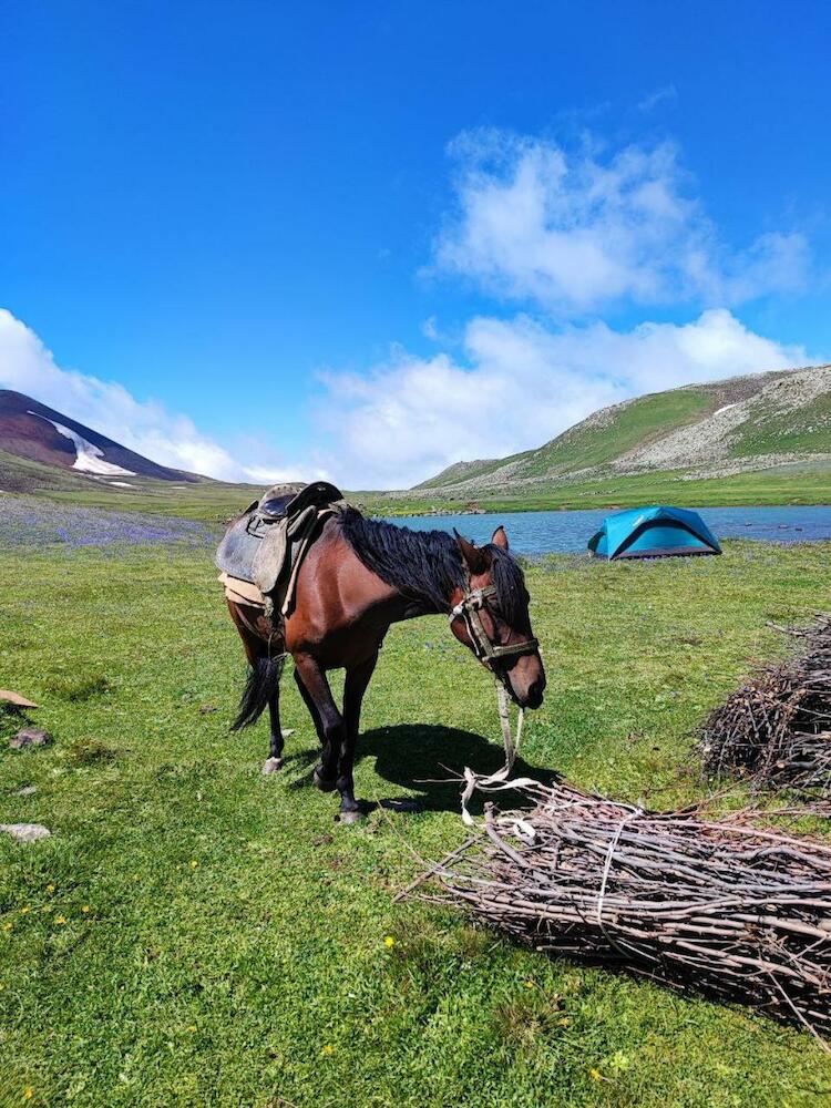 Highland Hostel