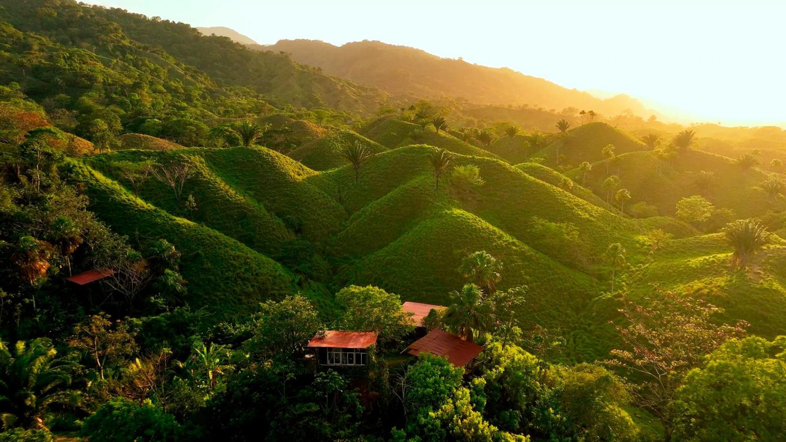 The Valley Tayrona hostel- A unique social jungle hostel