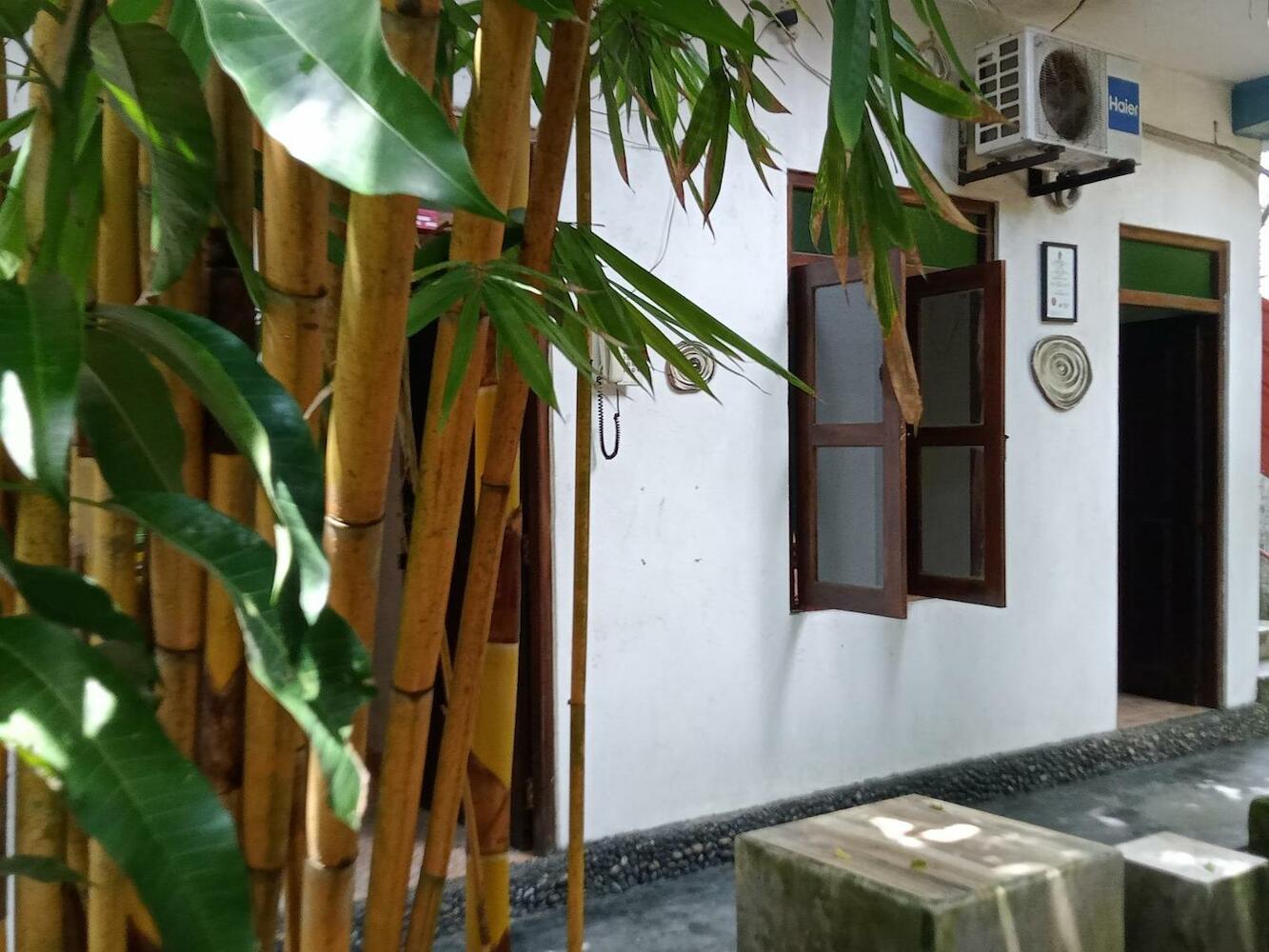 Surf & stay surf camp & school, Weligama