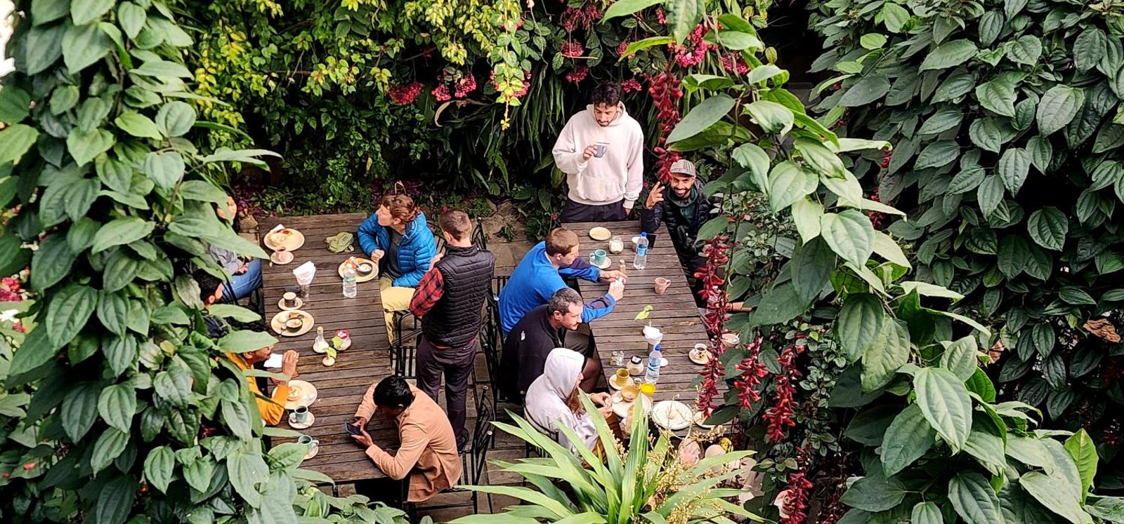 Kiwi Backpackers Hostel