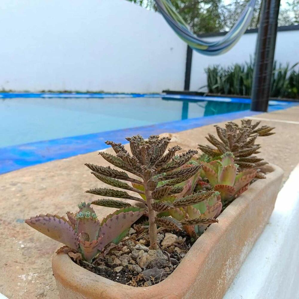 Casa Tavari, Puerto Escondido