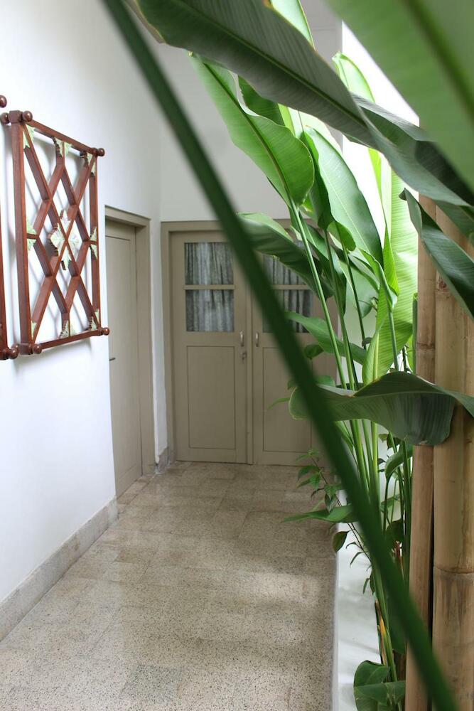 Ijen Haus, Banyuwangi