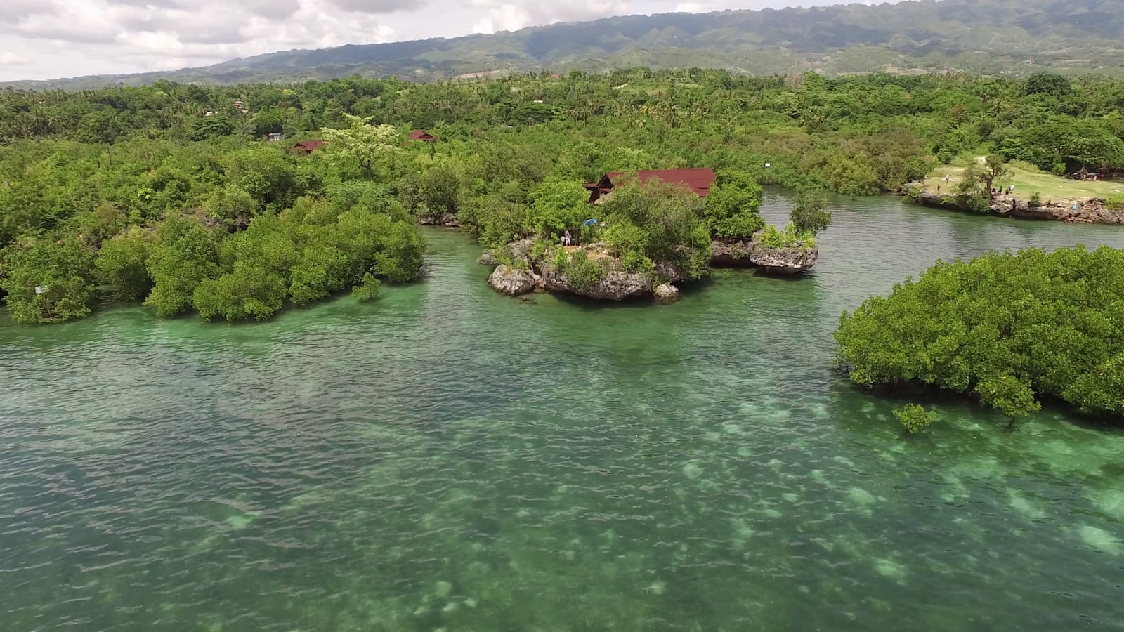 Eskapo Verde, Moalboal