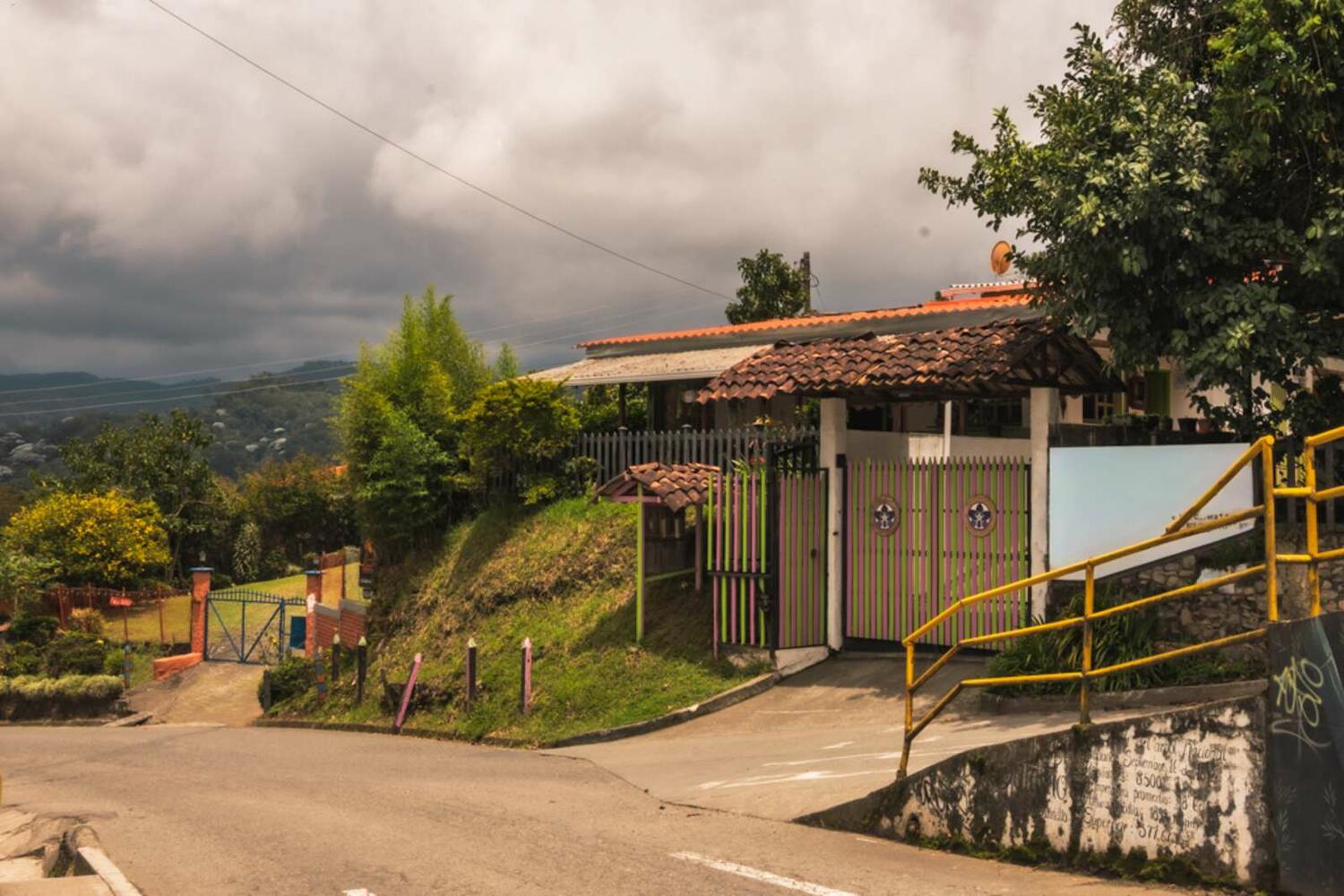 Cattleya Trianae, Salento