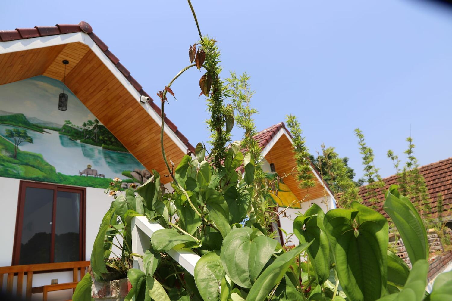 Phong Nha Friendly Home, Phong Nha