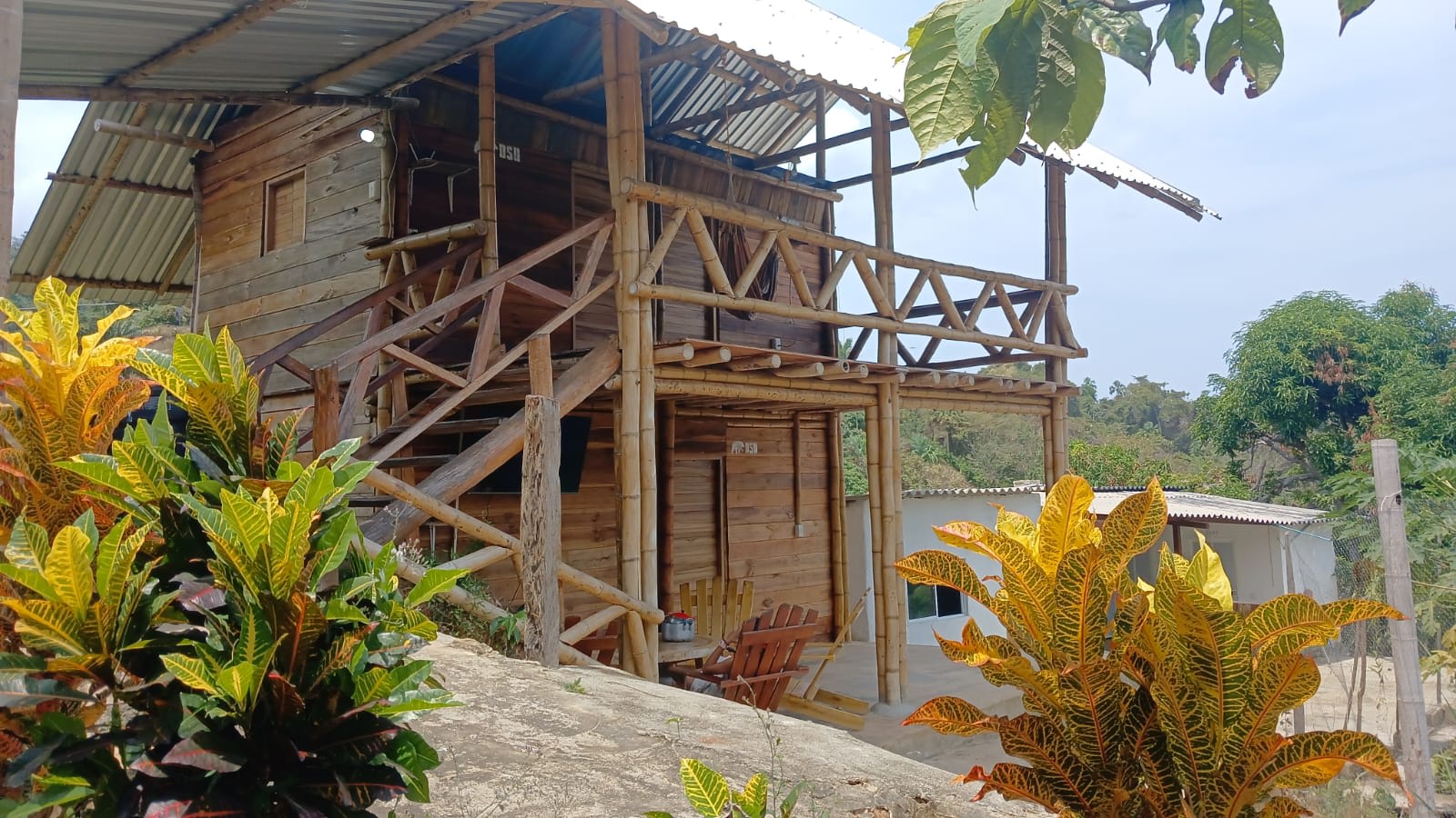 Oso Hostel