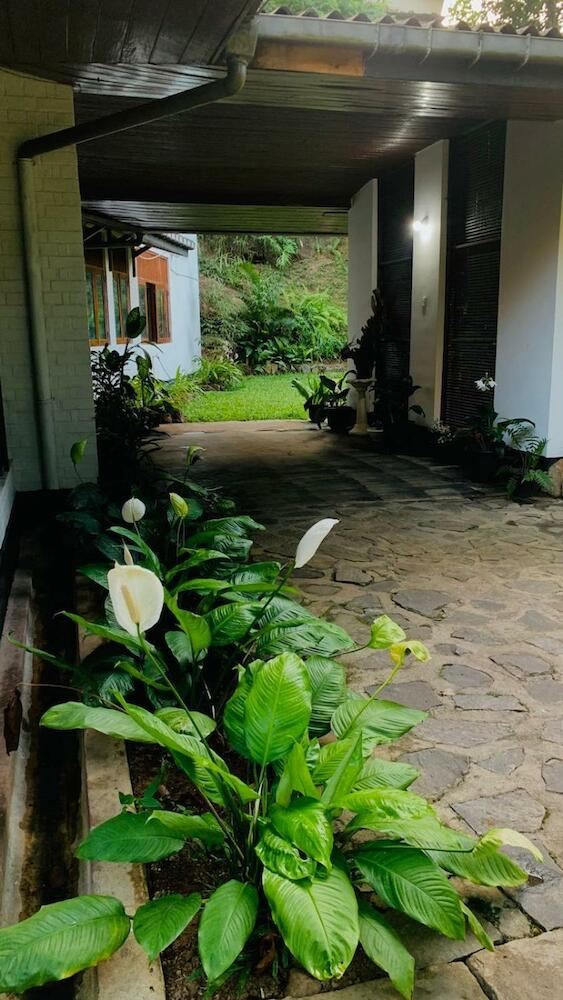 Steps Kandy, Kandy