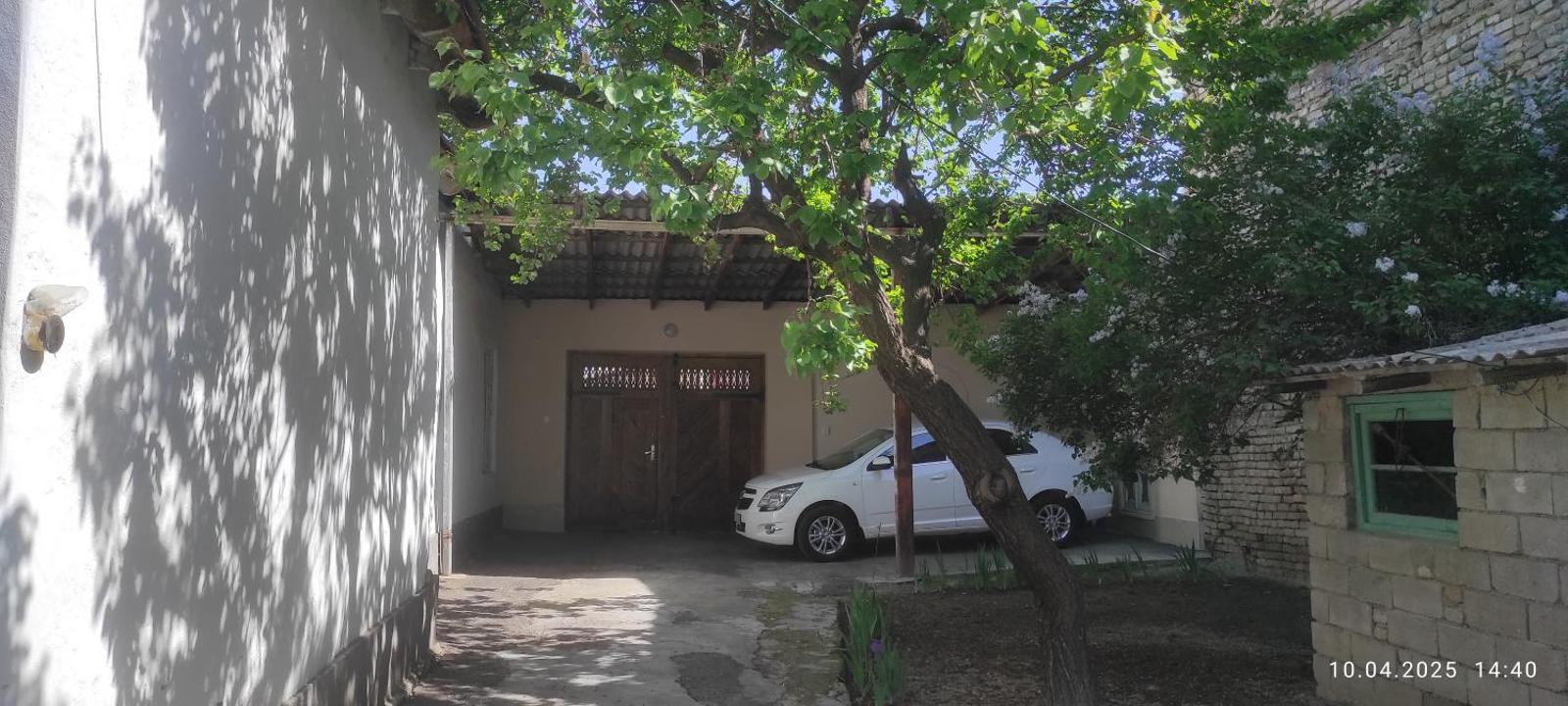 Hostel Tasmin Mehr Registan, Samarkand