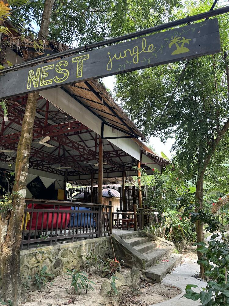 Nest Jungle