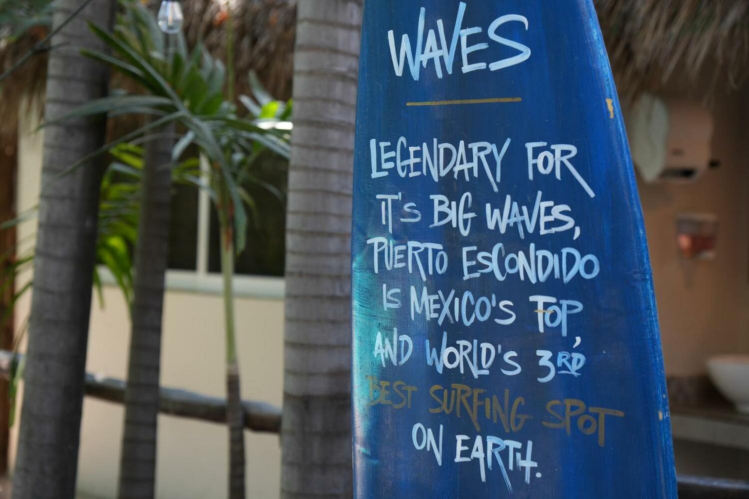 Selina Puerto Escondido, Puerto Escondido