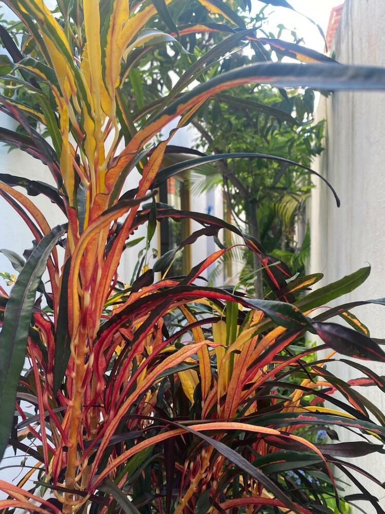 Where to stay in Pipa on a budget Where to stay in Pipa on a budget