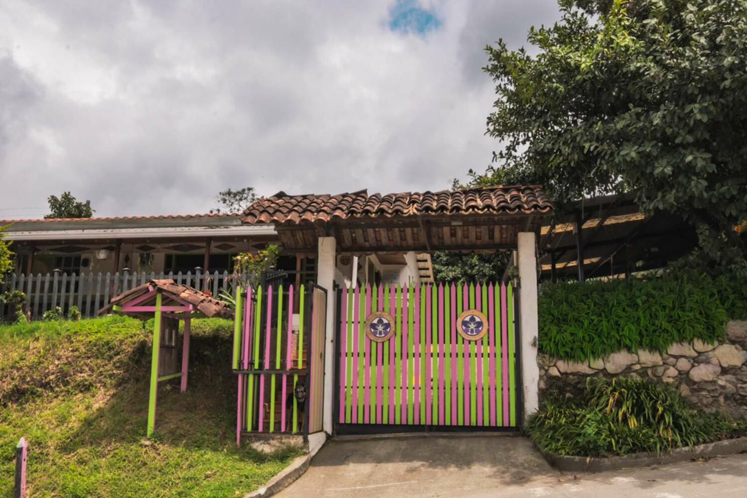 Cattleya Trianae, Salento