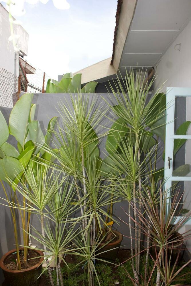 Ijen Haus, Banyuwangi