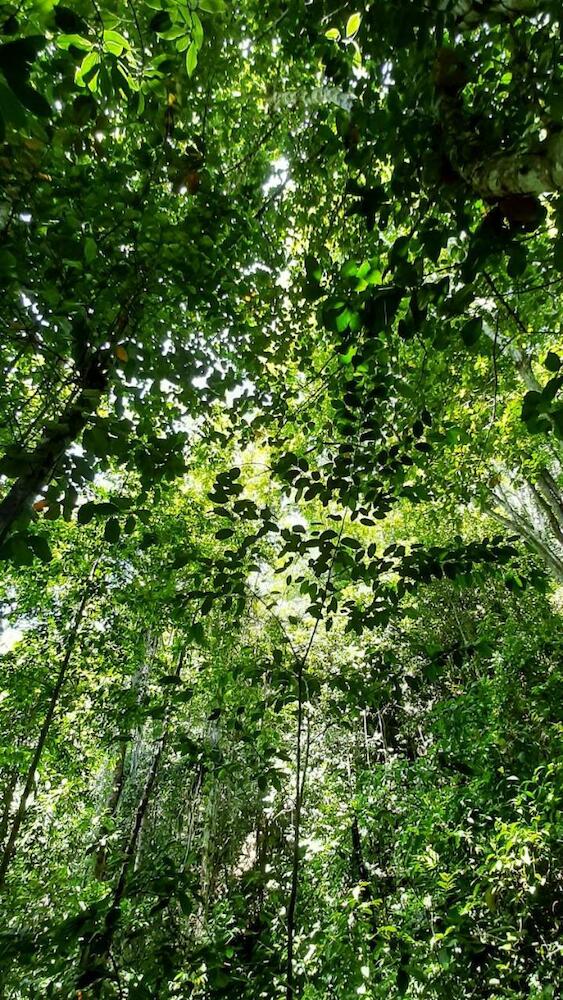 Lahselva Pousada E Hostel, Itacaré