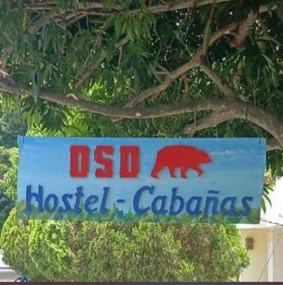 Oso Hostel