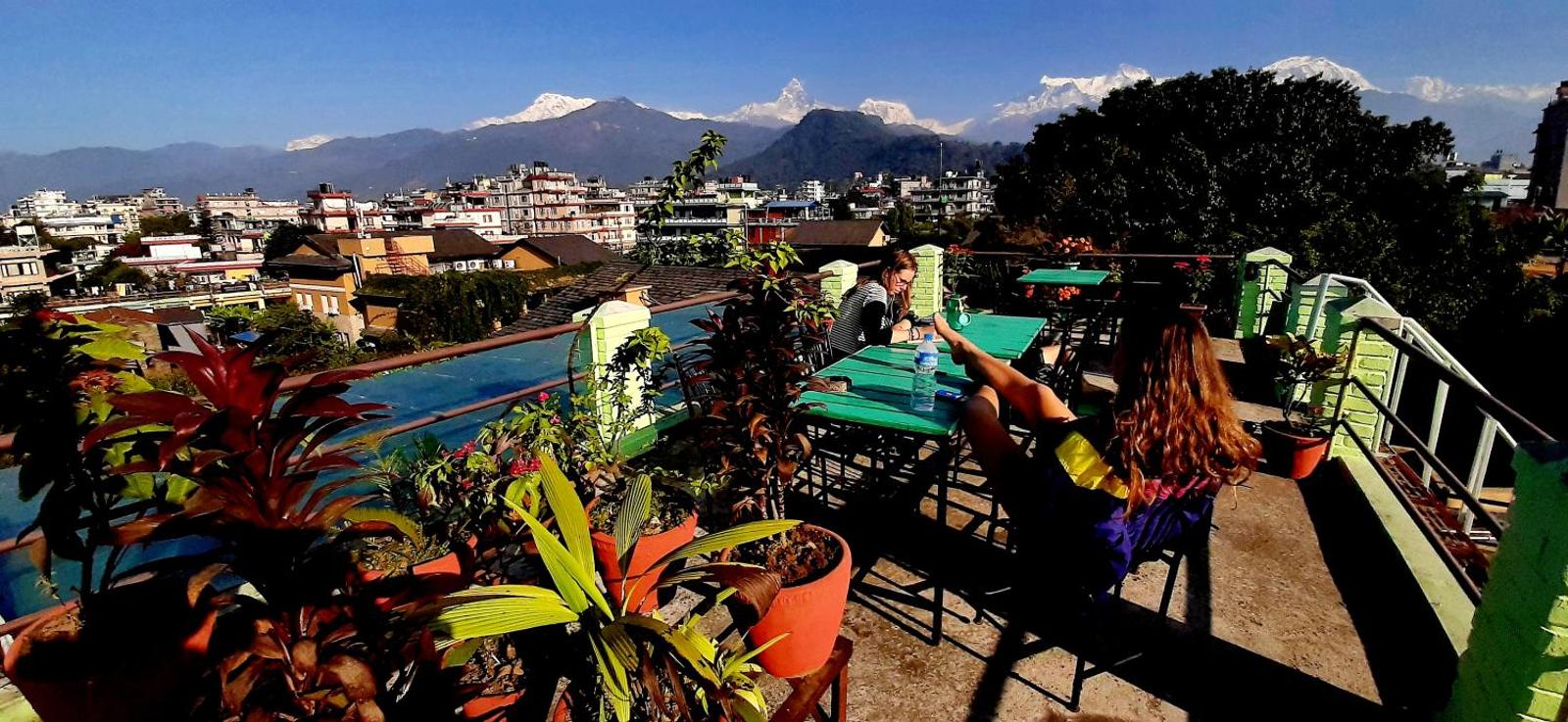 Kiwi Backpackers Hostel