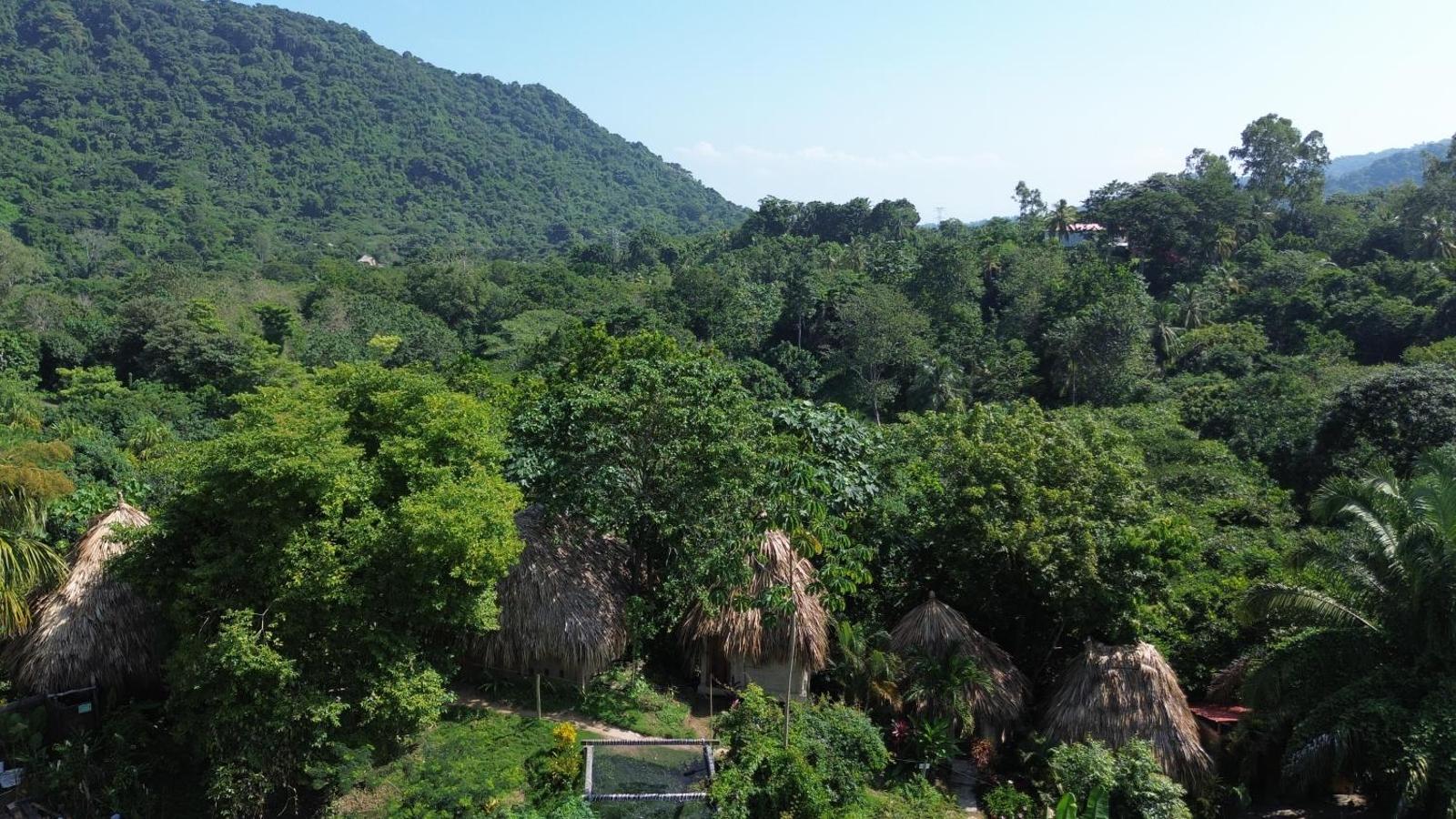 The Valley Tayrona hostel- A unique social jungle hostel, Tayrona Park