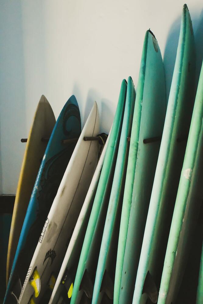 Single Fin Hostel