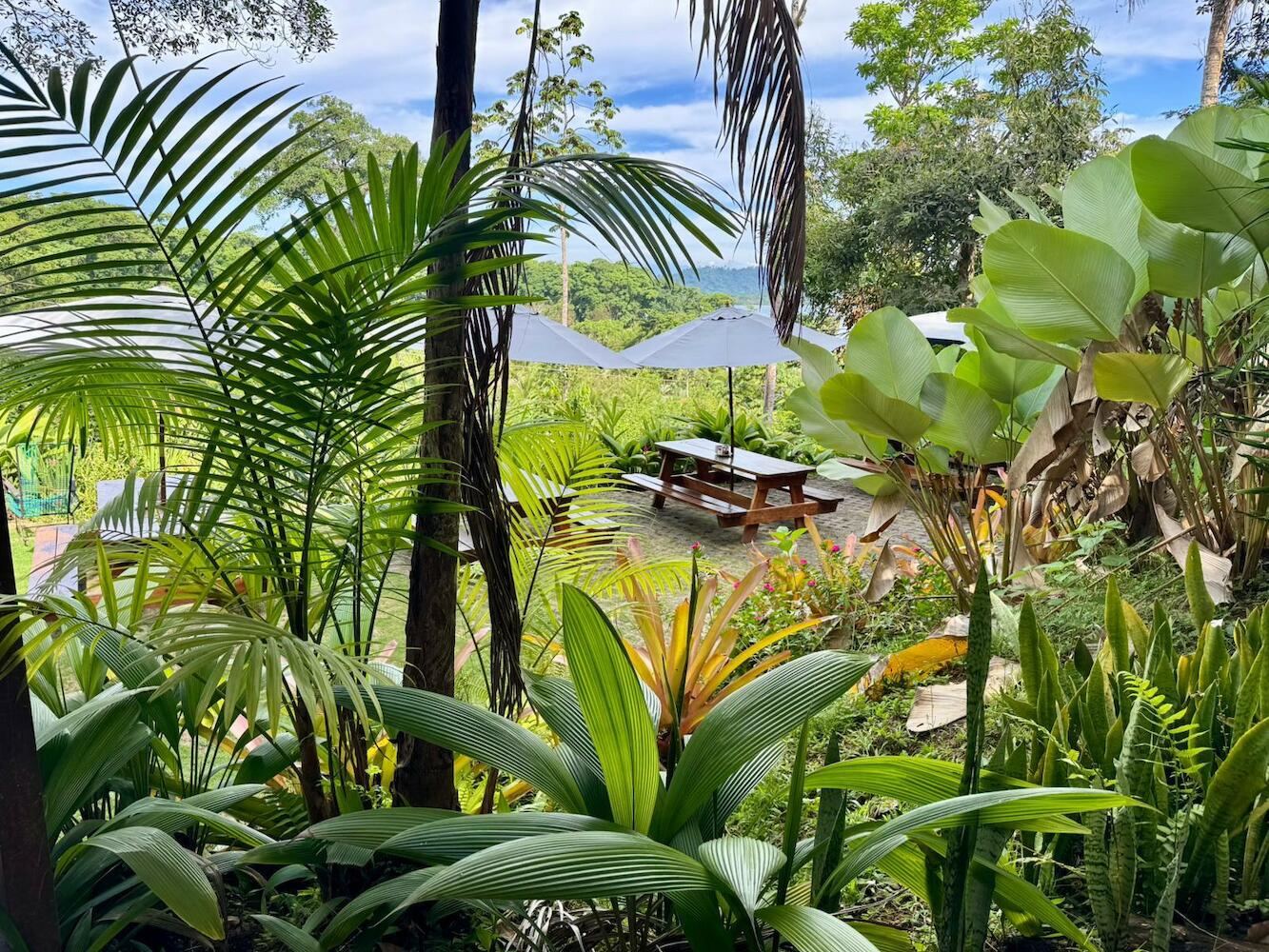 Svastha | Yoga & Ayurveda Cafe, Puerto Viejo de Talamanca