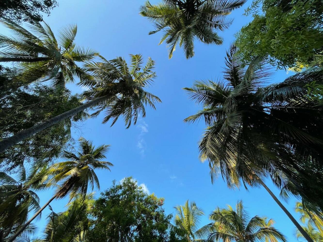 Your Zanzibar Place, Zanzibar
