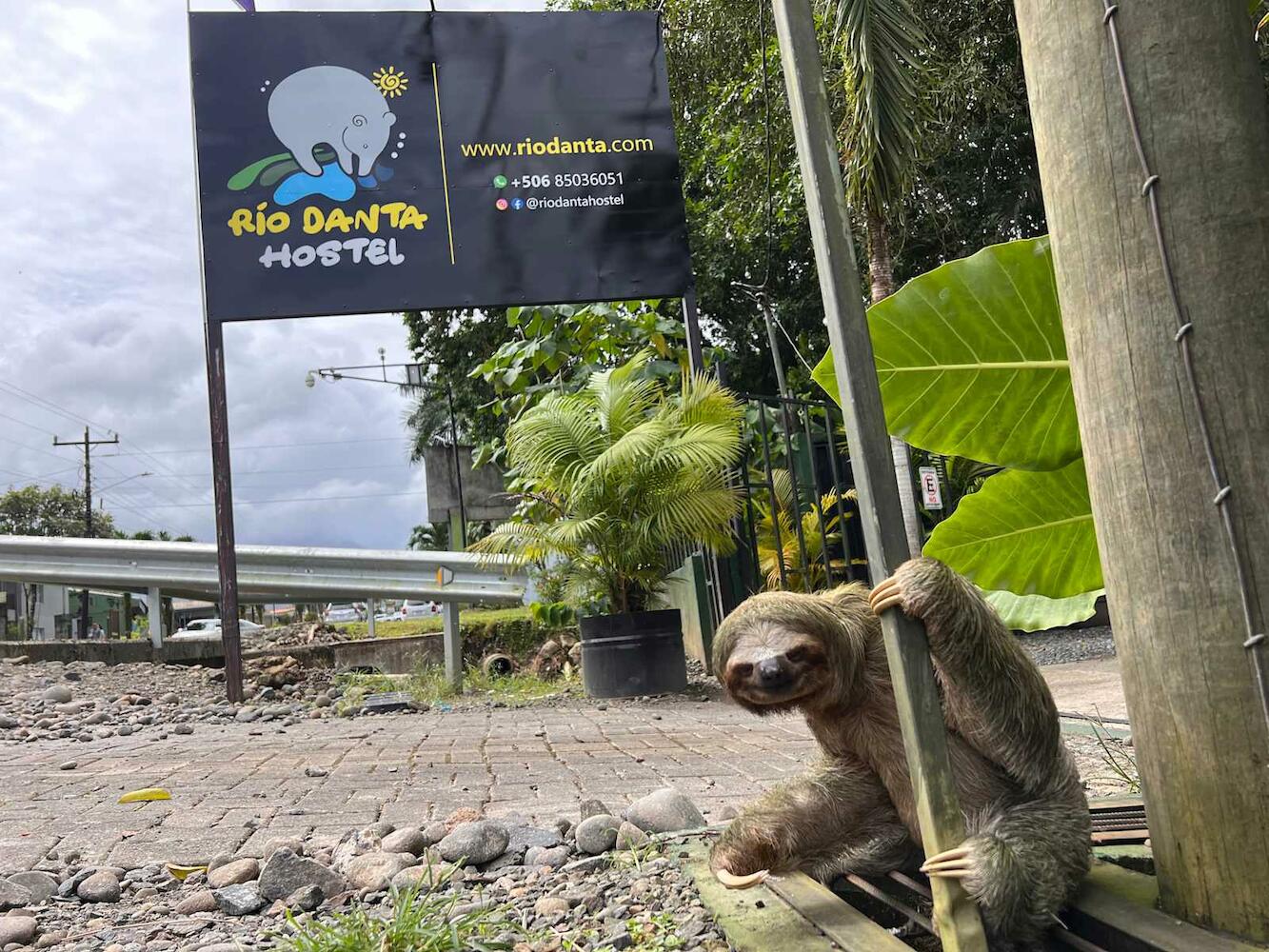 Hostel Rio Danta, La Fortuna