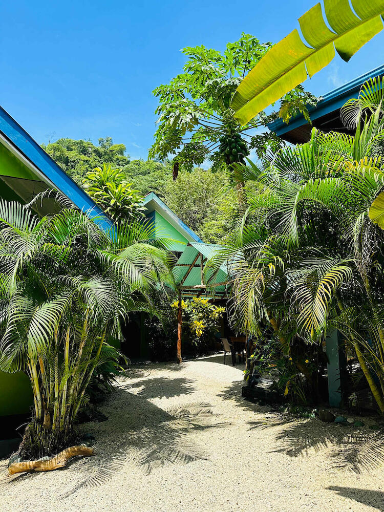 Surf Paradise, Santa Teresa