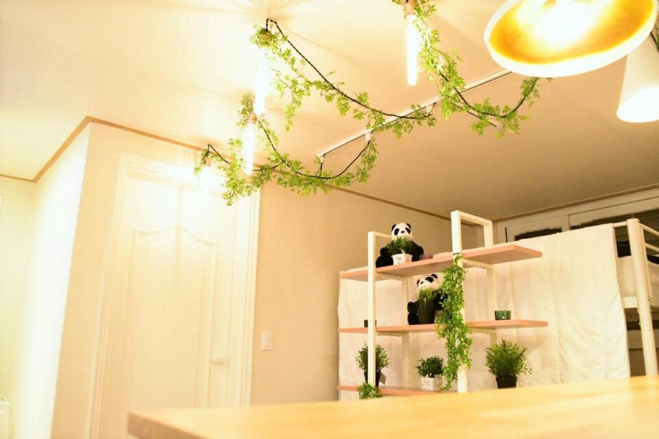 Serene Stay, Seoul