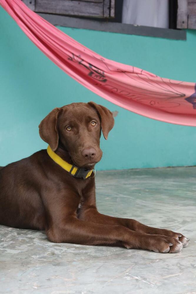 Casa Maria Flor, Itacaré