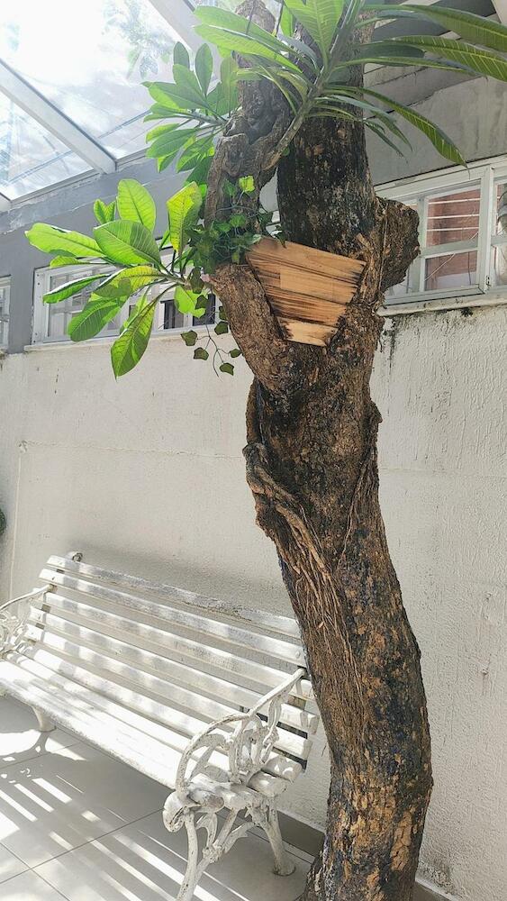 Hostel Mundo, Río de Janeiro