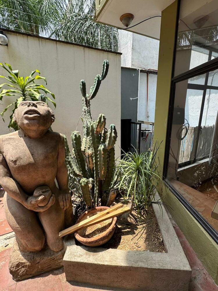 Leveli Coliving & Hostel, Oaxaca City