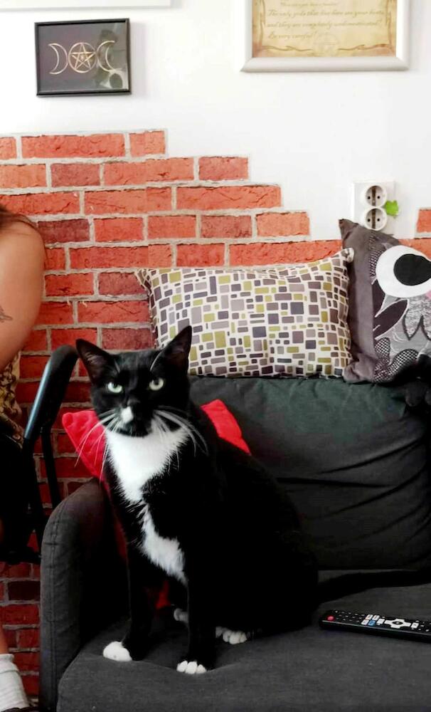 Hostel El Diablo, Belgrado