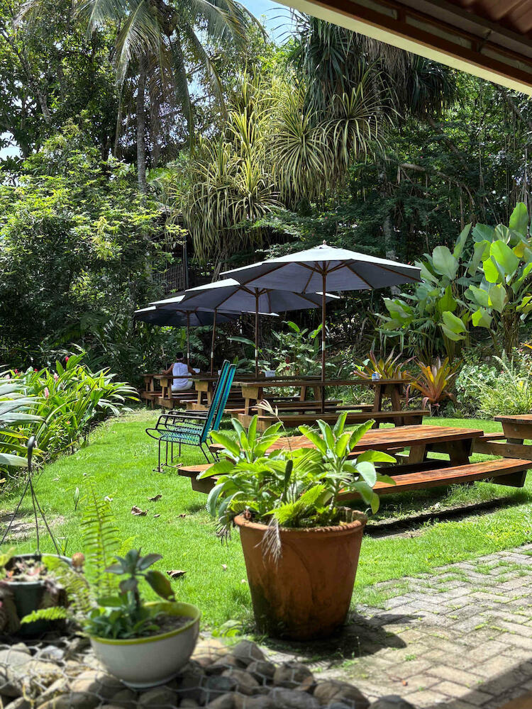 Svastha | Yoga & Ayurveda Cafe, Puerto Viejo de Talamanca