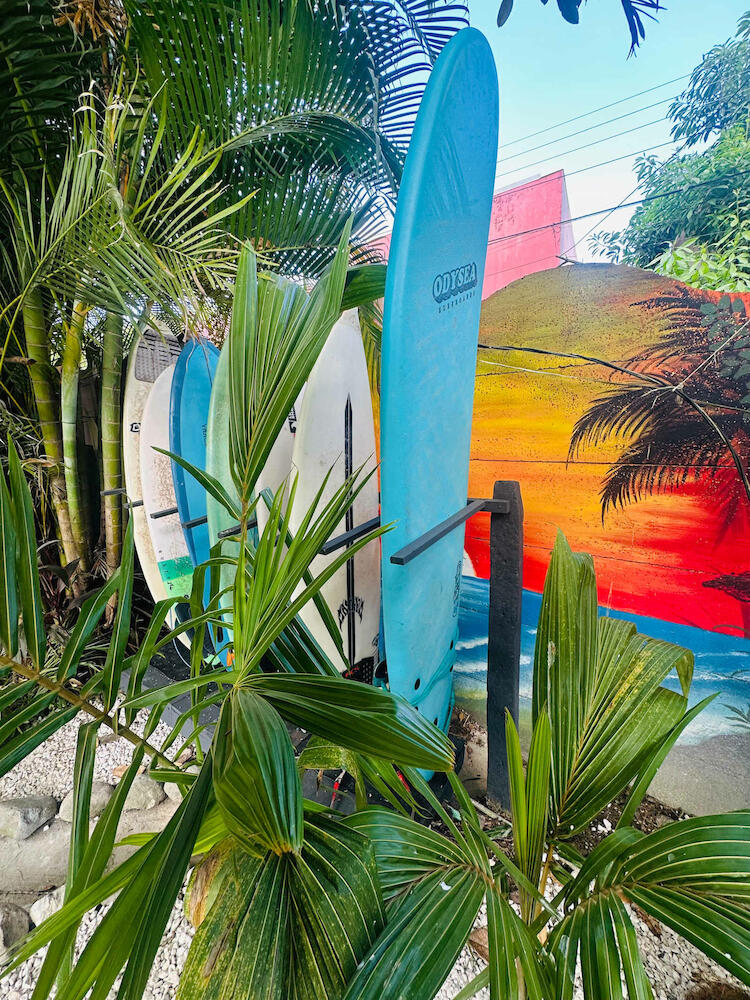 Surf Paradise, Santa Teresa