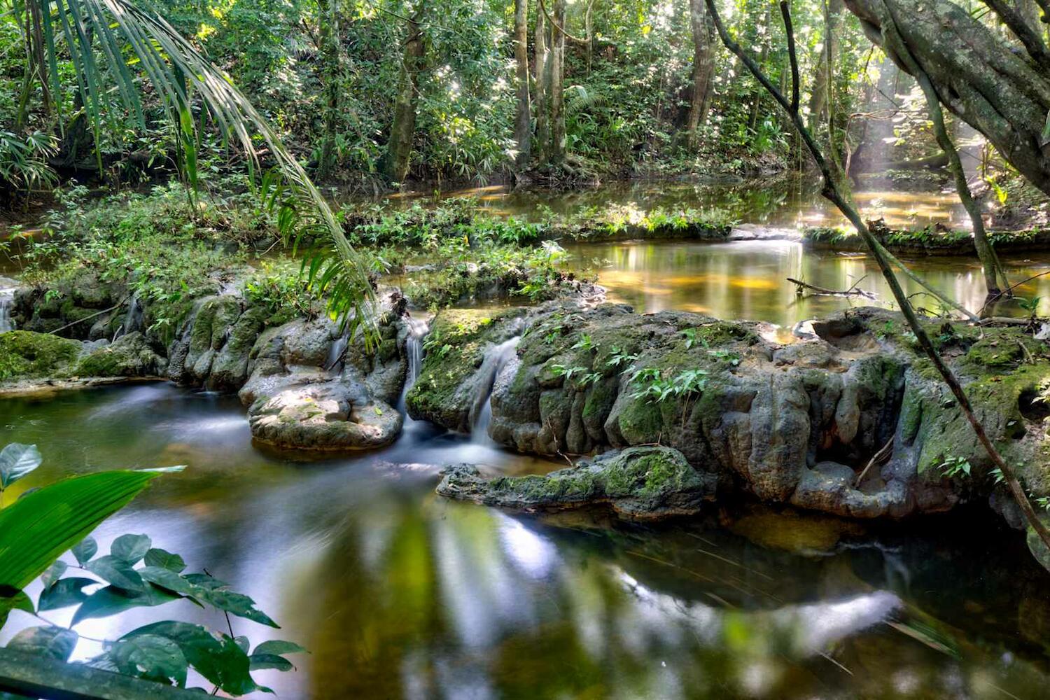 Lower Dover, San Ignacio