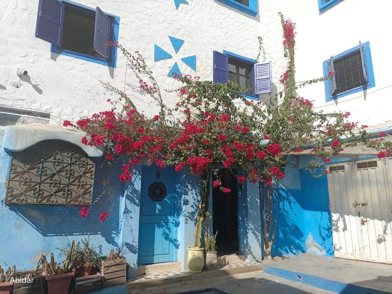 Habibi Hostel, Taghazout