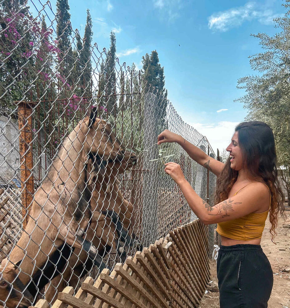 Fekhara Country Club, Marrakesh